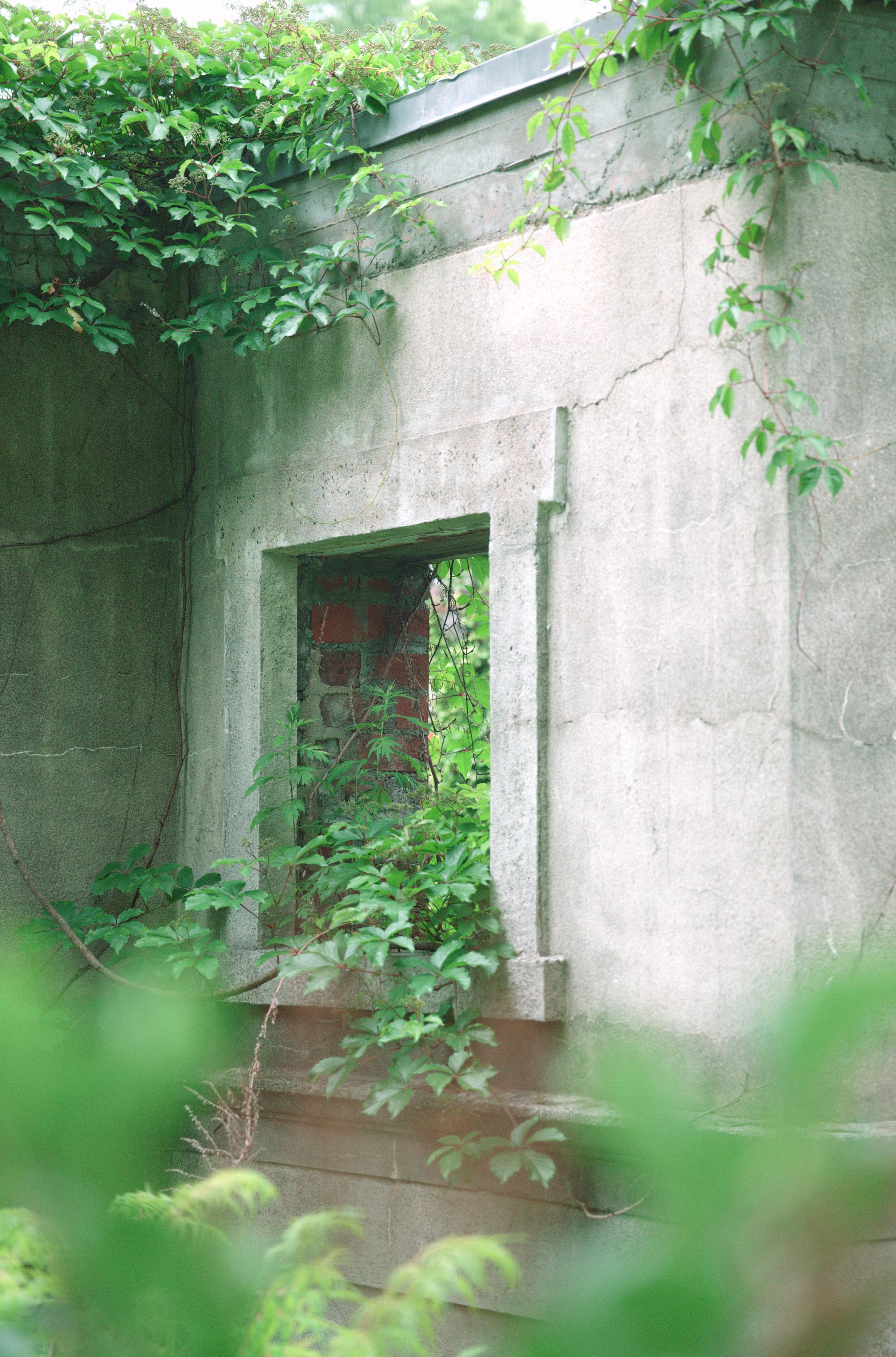 c2_L1011256.jpg